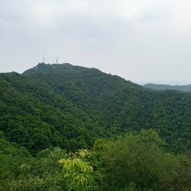 ～永春崗公園～綠意如織～