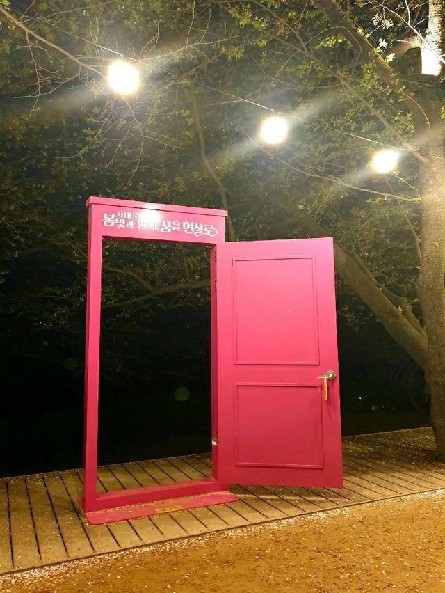 서대문 봄빛 축제 🌷 별빛에 더 화사해지는 밤 ⚘