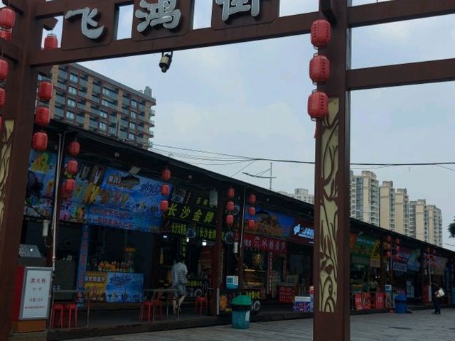 佛山的日與夜，令人難忘的體驗