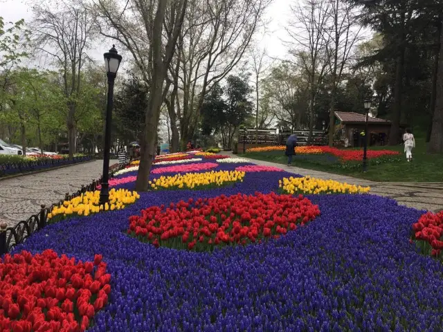 Turkey's Must-See Tulip Season in April