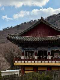 釜山梵魚寺｜繁華都市中的幽靜💫