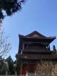 JINGSHAN PARK วิวหลักล้าน ควรค่าแก่การมา ✨🌸