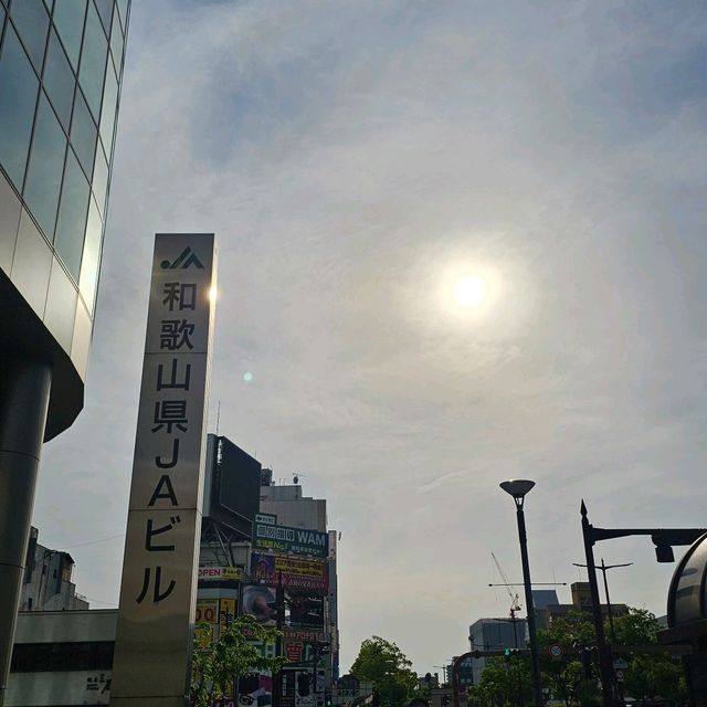 🪷春夏之鄉 - 和歌山市3日遊