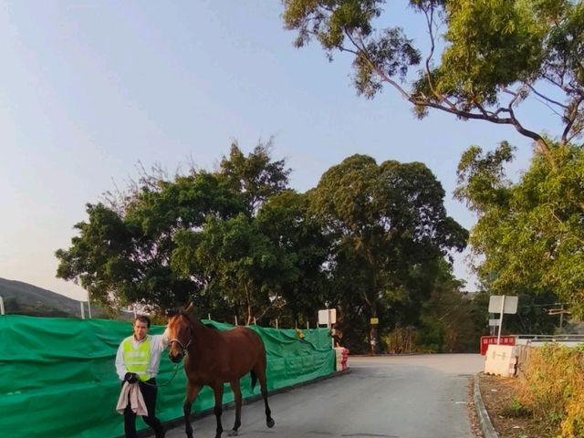 新界北郊遊路線分享