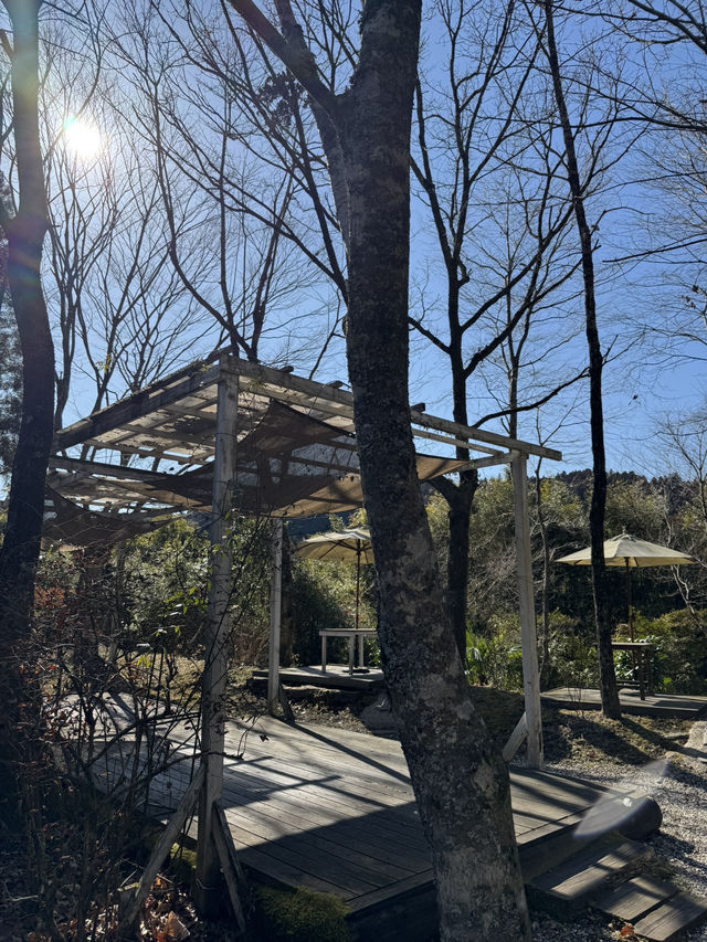 【熊本グルメ】山の奥の自然豊かな場所にある癒しカフェ🍽