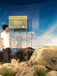 Museum 