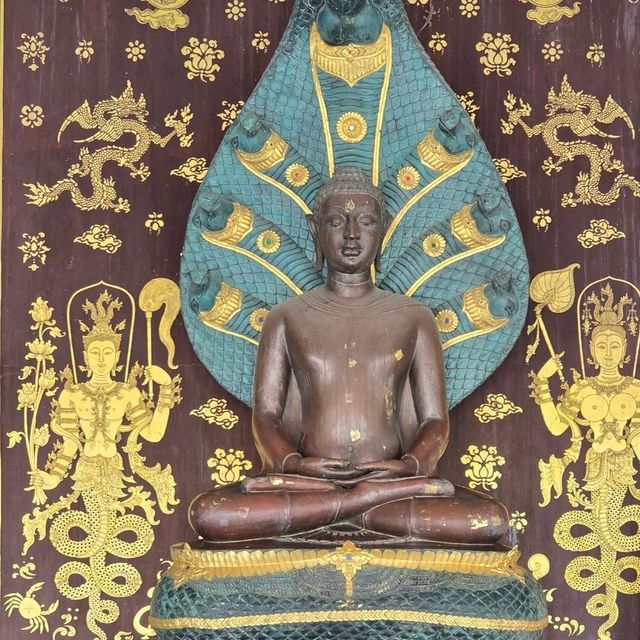 วัดป่าพุทธคยา Watpa India 