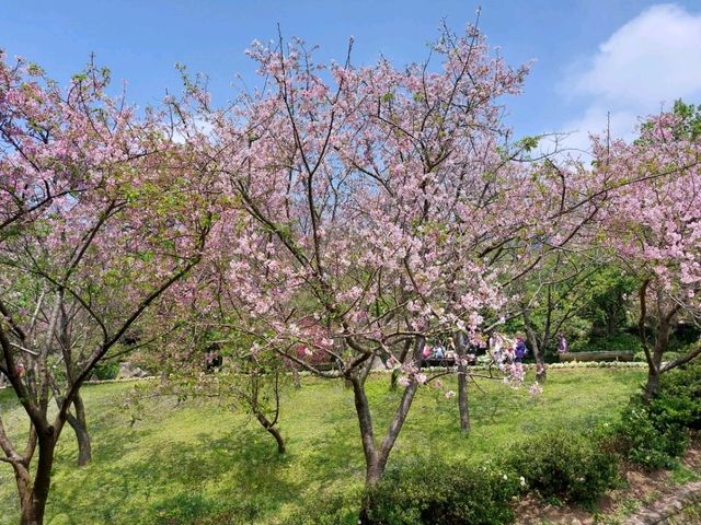 The Stunning views at Yangmingshan National Park, Taipei, Taiwan