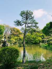 東京｜地鐵日比谷線｜現代繁華與隱秘魅力的銀色旅程 
