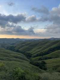 The Green Majesty of Wairinding Hill