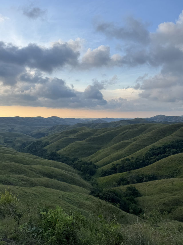 The Green Majesty of Wairinding Hill