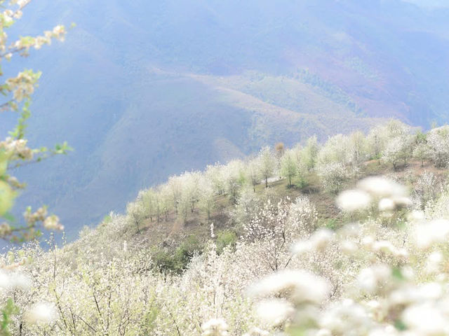 Sơn La