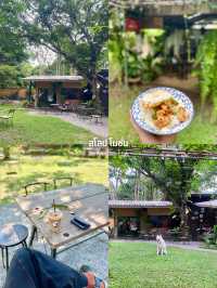 13 พิกัดเที่ยวรอบเมือง จ.เชียงใหม่ 🏡⛰️🌤️🐶