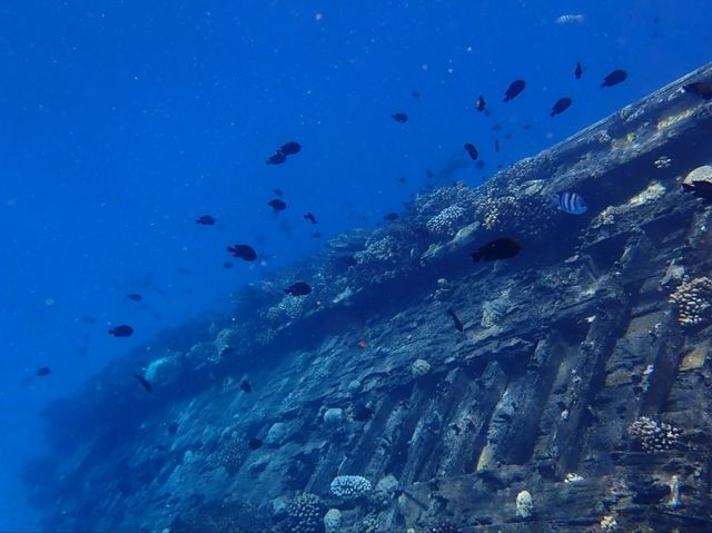🧜‍♀️💙🩵馬爾代夫必訪浮潛景點🩵💙
