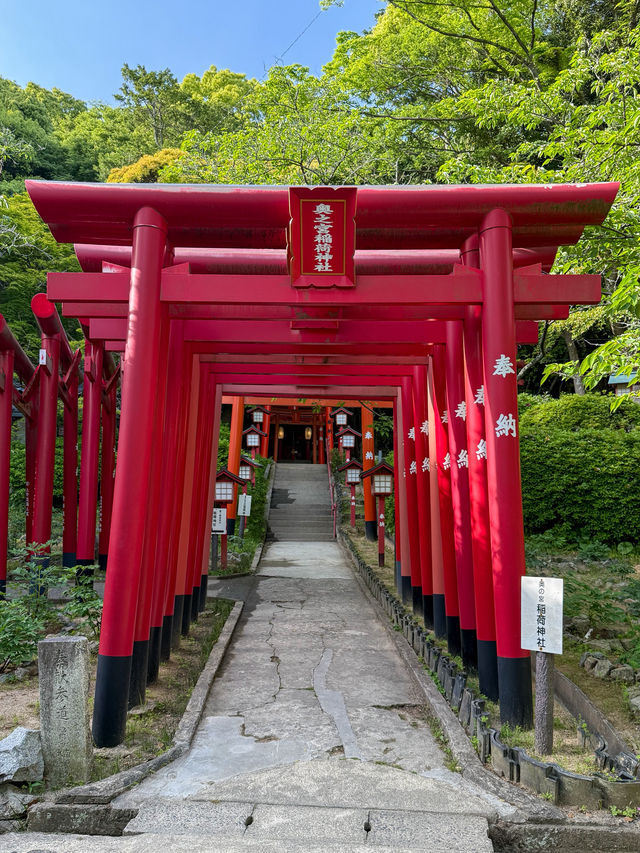 【福津】嵐のCMでも有名！絶景の神社