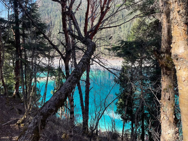 🌿✨ Enchanting Escape to Long Lake (Changhai) in Jiuzhaigou Valley: Alpine Majesty & Serene Beauty!