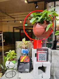 Basketball Plant Pots? Count Me In