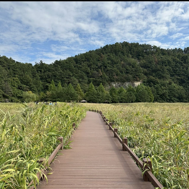 スンチョン湾湿地