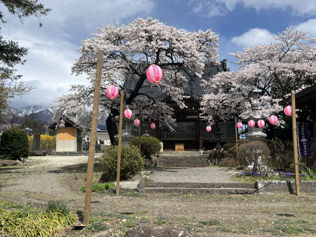 5 Days in Tokyo