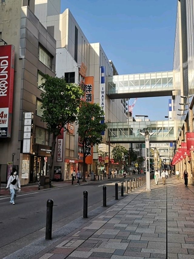 Exploring Fukuoka: Japan’s Coastal Gem Full of Flavor and Culture