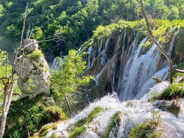 克羅埃西亞 | 如明信片般的自然美景，十六湖國家公園
