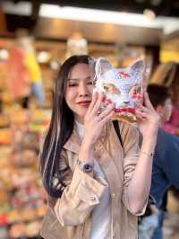 ทัวร์ 10 วัน ญี่ปุ่น