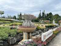 Pattaya’s Nong Nooch Tropical Garden – A Lush Escape with a Lot of Walking 