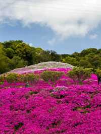 Tokushima – Dance, Mountains, and Cultural Harmony in Shikoku