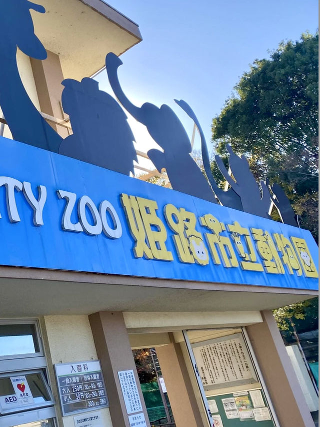 A Laid-Back Day in Himeji – Castles, Calm & a Few Furry Friends