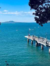 奧克蘭 Murrays Bay｜Churchill Reserve 海邊步道輕散策