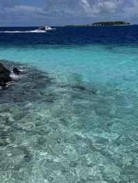 🏝️🤿Super invincible and beautiful Maldives (all-inclusive!)