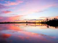 Hiking the River of Grass: Trails Through the Everglades