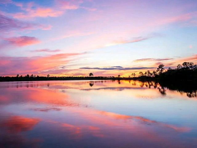 Hiking the River of Grass: Trails Through the Everglades
