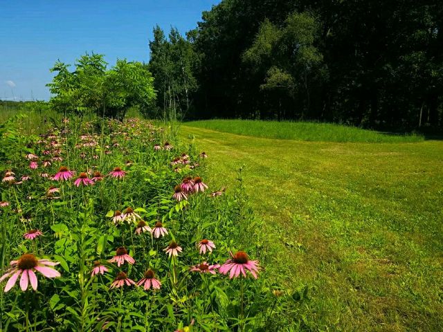 Sacred Paths: Hiking Through Effigy Mounds