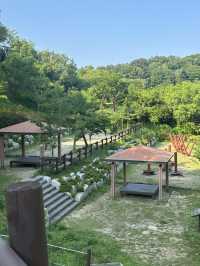 🌳 통영생태숲에서 자연과 한몸이 된 하루! 🍃