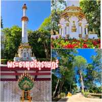 แพลนเที่ยวสุราษฎร์ พุนพิน บ้านนาเดิม