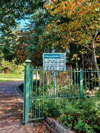 Arderne Gardens: Romance and Roots in Cape Town’s Leafy South