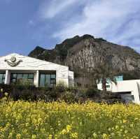 6 days in Jeju - the must visits