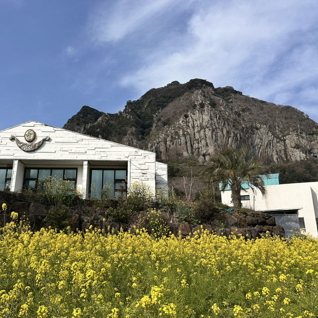 6 days in Jeju - the must visits
