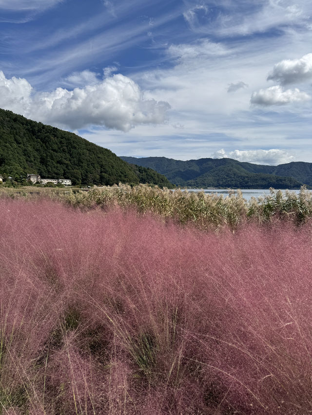 Fuji Views & Osaka Vibes. My October Wintery Japan Adventure