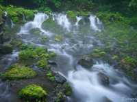 【北海道】羊蹄山の美味しい湧き水「京極町ふきだし公園」