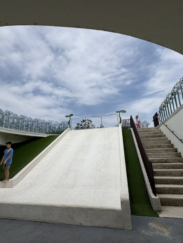 嘉義 北香湖公園 植物生態超豐富 還有兒童遊戲場可以放電！