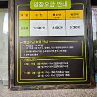 베어트리파크, 진짜 숲속 비밀정원 느낌! 🪴