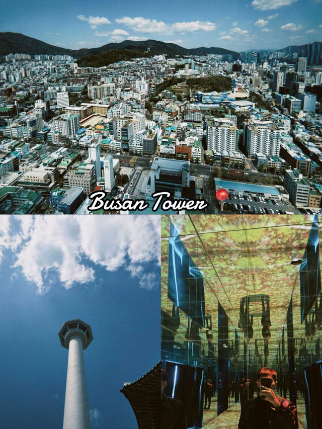 A Perfect Day in Busan 🇰🇷✨