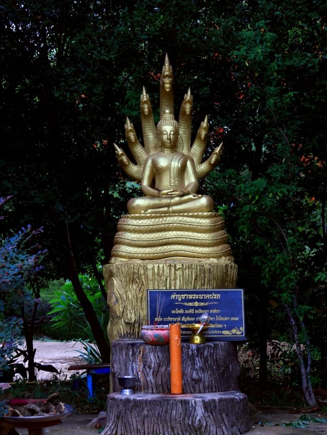 วัดโคกมน ที่เที่ยวน้ำหนาว จังหวัดเพชรบูรณ์
