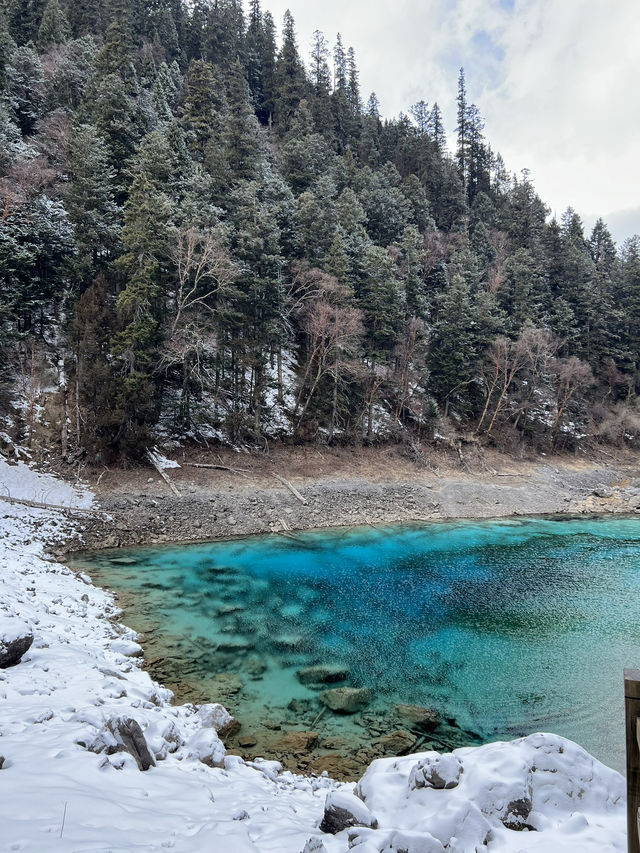 🇨🇳Chengdu—Jiuzhai Valley