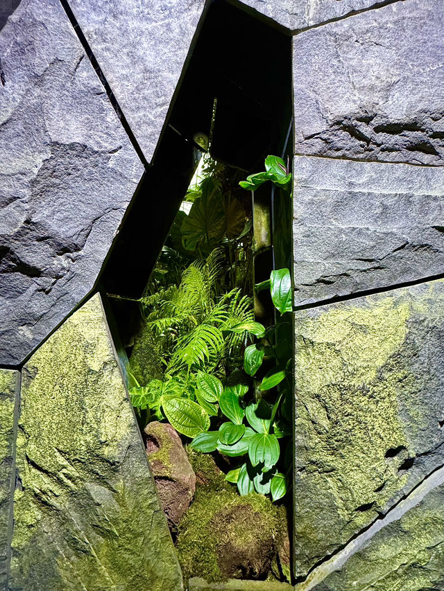 Cloud Forest — A Cool Summer Escape in Singapore’s Urban Jungle