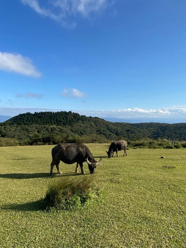 台北｜陽明山國家公園