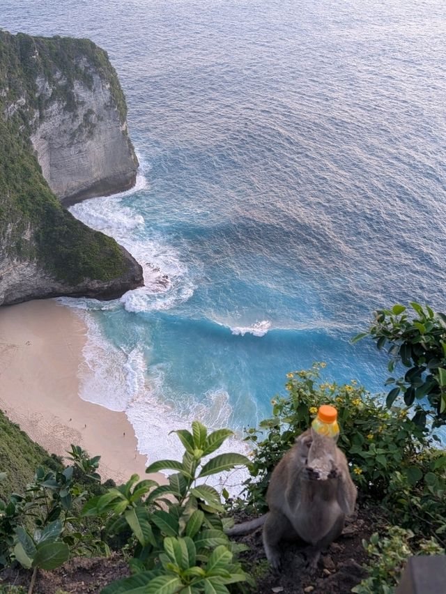 Overnight stay on Nusa Penida suggestion!