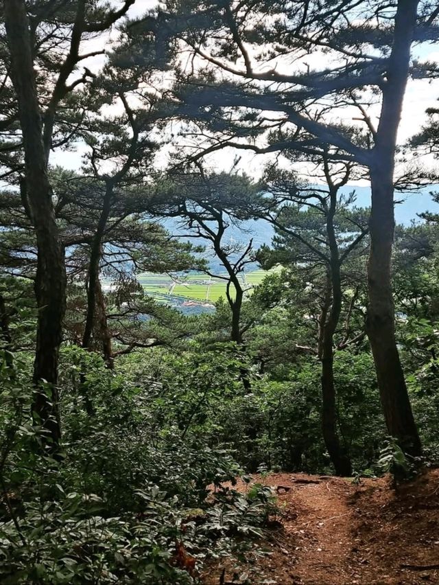Short Climb, Sweet Views